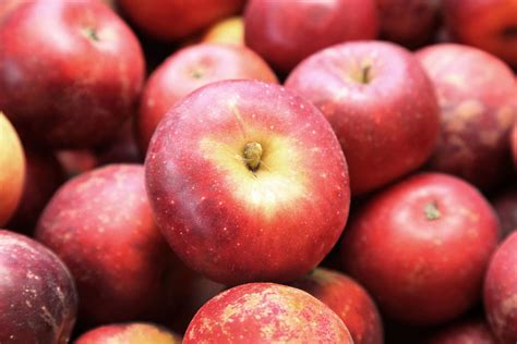 Guide to 18 Apples Varieties