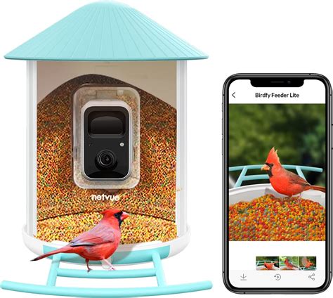 NETVUE Bird Feeder Camera, Battery Powered Wireless Outdoor Bird Watching Camera, Auto Capture ...