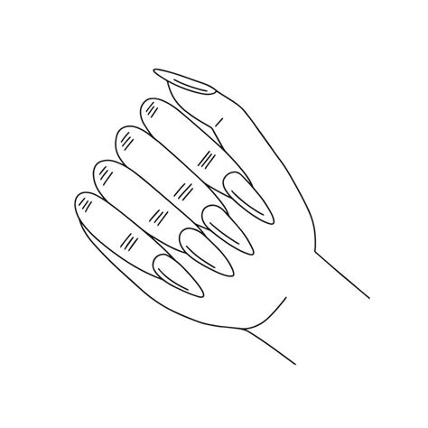 Vector woman hand sketch with manicure. Beautiful woman hand with nails illustration 20580181 ...