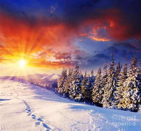 Winter Landscape With Snow Sunset Photograph by Boon Mee