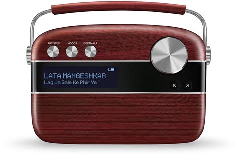 Saregama Carvaan Hindi - Portable Music Player with 5000 Preloaded ...