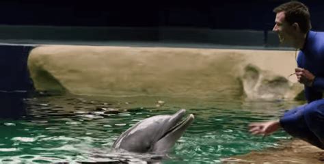 Georgia Aquarium Dolphin Tales Show Times - Aquarium Views