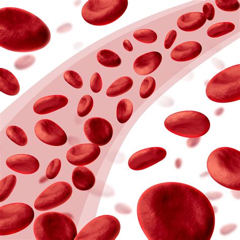 Using a Filter for Blood Clots May Carry Serious Risks