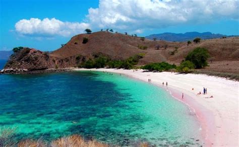 Pantai Pink di Pulau Komodo yang Cantik - GoTravelly