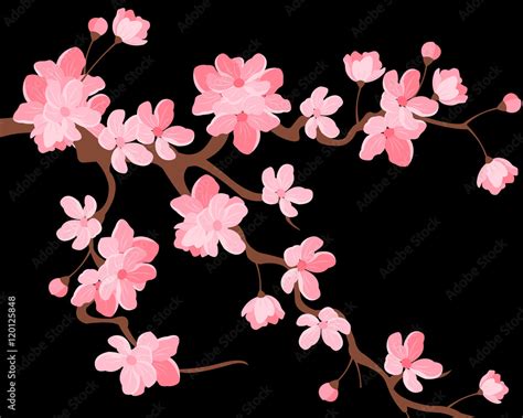 Vector illustration. Branch of Japanese cherry blossoms with beautiful flowers.Sakura. Black ...