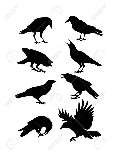 Black Crow Silhouettes, art design Stock Vector - 57566930 | Crow silhouette, Crow painting ...