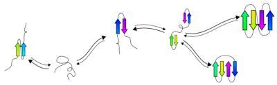 Protein folding made easy