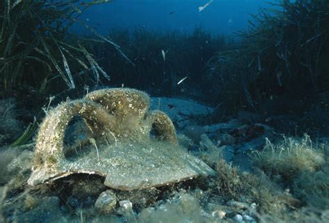 Underwater Archaeology Photograph by Alexis Rosenfeld