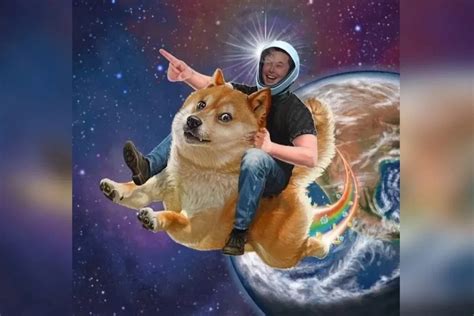 Dogecoin's Value Dipped 23% During Elon Musk's SNL Performance, Twitter ...