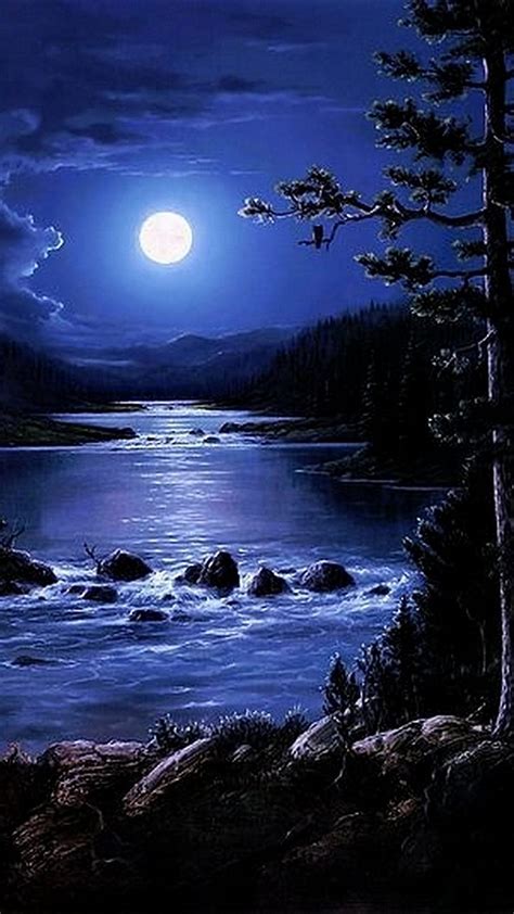 Nature1463, moon, nature, night, trees, water, HD phone wallpaper | Peakpx