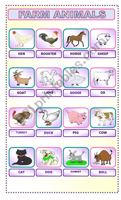 FARM ANIMALS VOCABULARY - ESL worksheet by latty