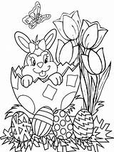Paashaas Kleurplaten Pasen Mand Haas Grappige Mandje Hase Ostern Pasqua  sketch template