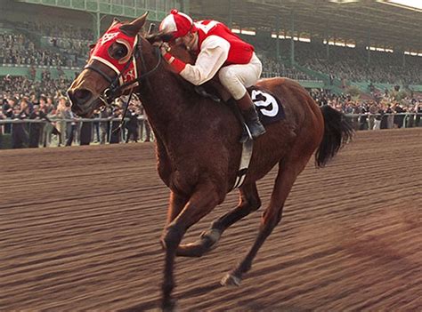 Seabiscuit from Famous TV and Movie Horses | E! News