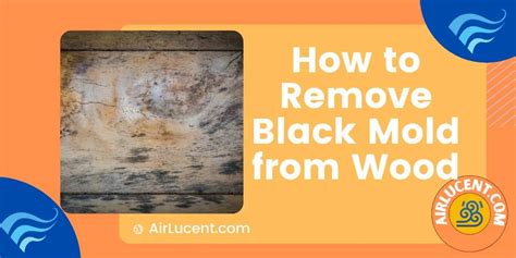 How to Remove Black Mold from Wood: Cleaners and Methods - Airlucent