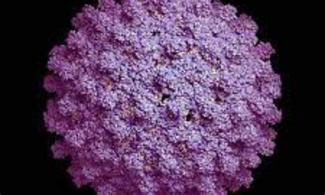 Bepirovirsen shows promise as treatment for Chronic Hepatitis B Infection in trials