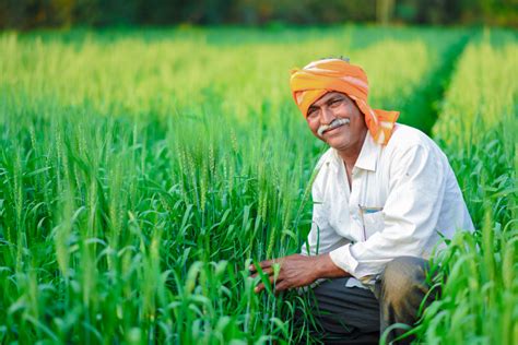 Examining Foreign Direct Investments in the Indian Agricultural Sector