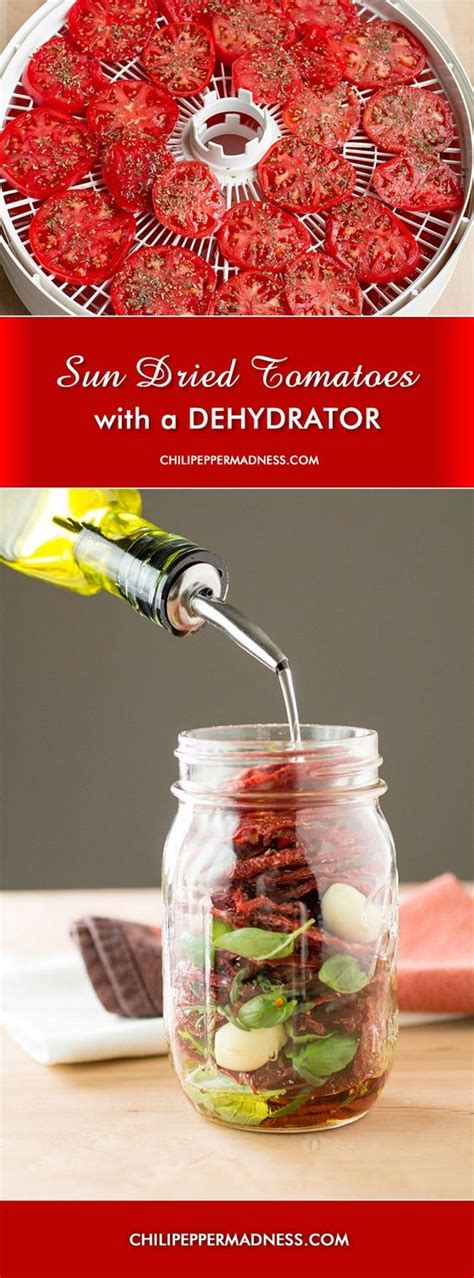 47 Perfectly Delicious Dehydrator Recipes You Will Want to Try