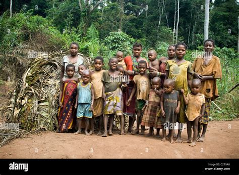 Pygmäen in den Wald, Republik Kongo Stockfoto, Bild: 36184240 - Alamy