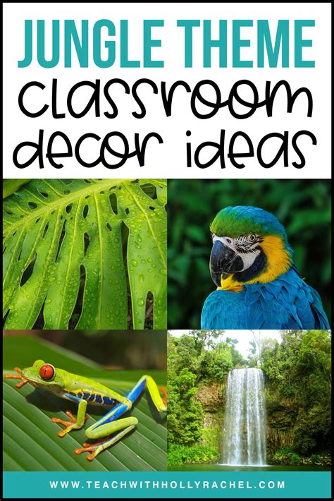 Jungle Themed Classroom Decor Ideas - Teach with Holly Rachel