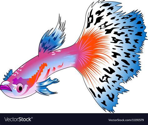 Guppy Fish Vector Guppy Fish Fish Vector Logo Guppy - IMAGESEE