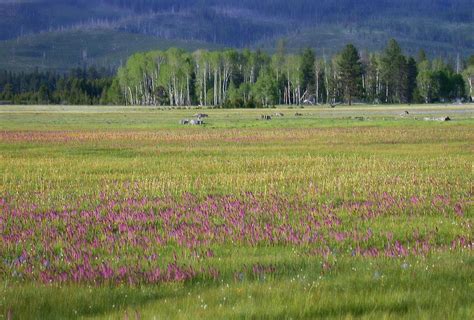 Oregon Tribal Spotlight: Burns Paiute Tribe of Southeast Oregon - Travel Oregon