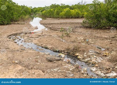 Heavily Polluted Water Stream Filled with Rubbish Running through a ...