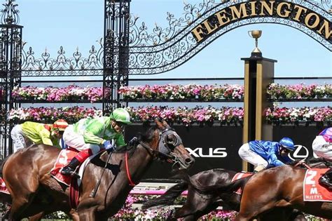 Melbourne Cup Sweep 2023 Tickets | TryBooking Australia