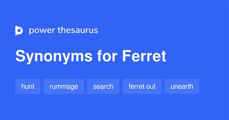 Ferret synonyms - 644 Words and Phrases for Ferret