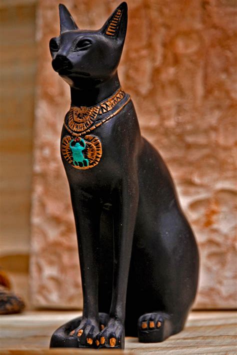 Cats in Ancient Egypt : ancientegypt