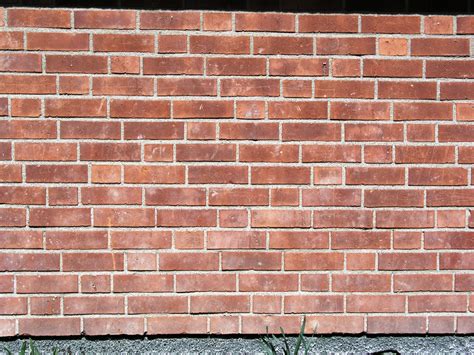 Fil:Solna Brick wall Silesian bond variation1.jpg – Wikipedia