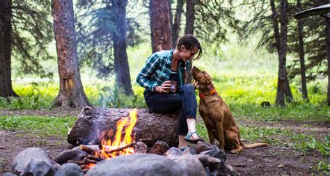 The 15 Best Dog-Friendly Campgrounds in the U.S. | BeChewy