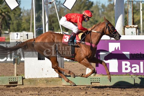 Es De Dato: |PRONOSTICO - HIPODROMO DE LA PLATA - JUEVES 12/5/2021|