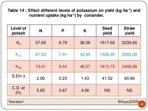 potassium dynamics