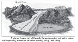 map of Jenny Lake campground, Grand Teton National Park – Mary Donahue