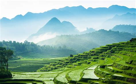 Télécharger fonds d'écran Le Vietnam, 4k, les rizières, les montagnes, les plantations de riz ...