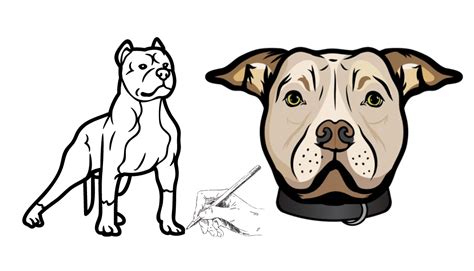 Pitbull Dog Svg Pitbull Svg Pitbull Dog Pitbull Clipart Finland | lupon ...