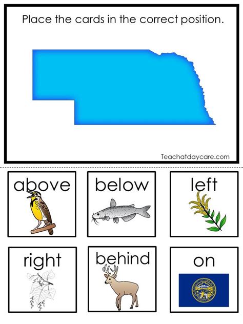 30 Nebraska State Symbols Themed Learning Games Download. ZIP - Etsy