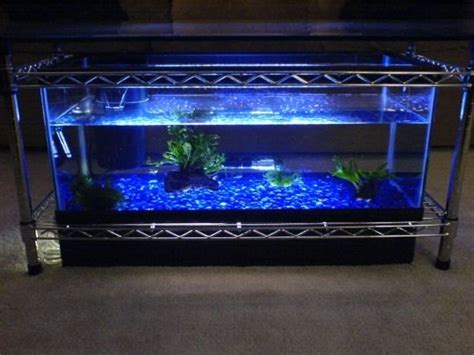 Spectacular DIY Fish Tank Coffee Table - Free Guide and Tutorial