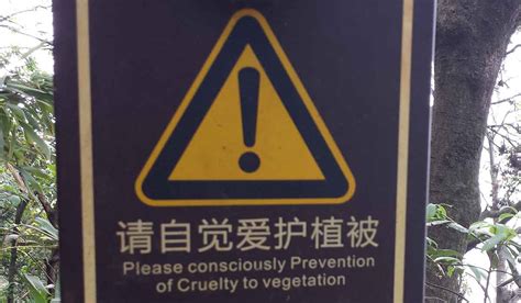 Lost in Translation: Funny Chinese English on warning signs | HI Travel Tales