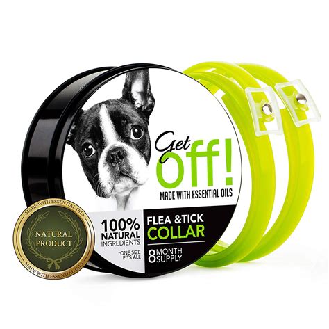 The Best Flea and Tick Collars for Dogs | iPetCompanion