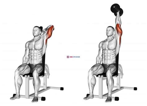 Dumbbell Seated Reverse Grip One Arm Overhead Tricep Extension - Home Gym Review