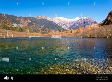 Autumn leaves at Taisho Pond Stock Photo - Alamy