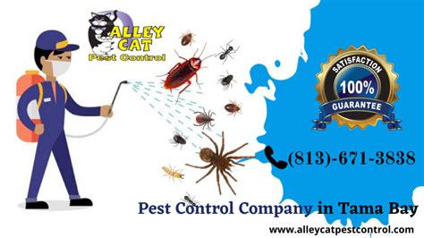 Tampa Bay Pest Control Company | (813)-671-3838