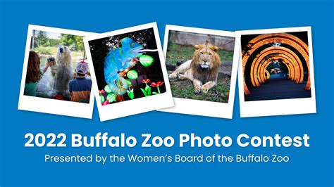 2022 Buffalo Zoo Photo Contest - Buffalo Zoo