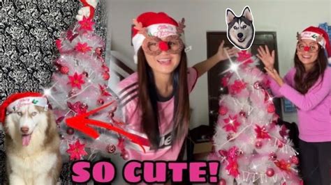 Making Husky Pack TV Christmas Tree! | Husky Pack TV - YouTube