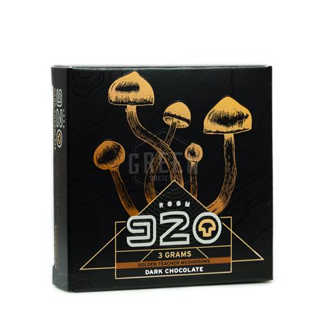 Room 920 Dark Chocolate Shroom Bars | Buy Mushrooms | Green Society