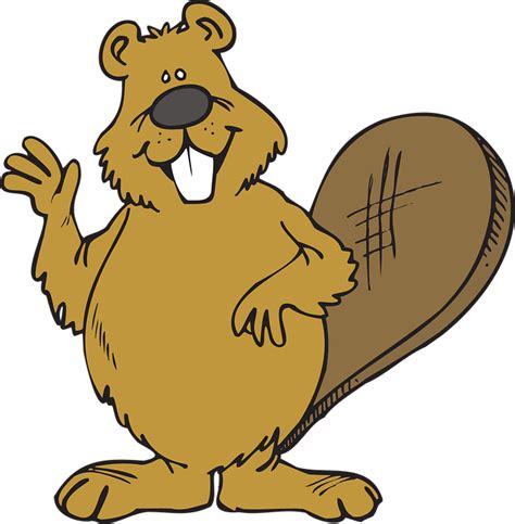 Beaver Animal Friendly · Free vector graphic on Pixabay