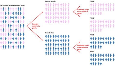 Randomization in Statistics: Definition & Example