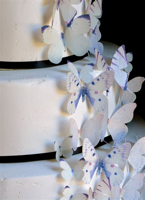 EDIBLE BUTTERFLIES Cake & Cupcake Toppers Cake Decoration - Etsy