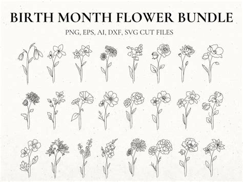 Birth Month Flower Svg Bundle Hand Drawn Flower Flower - Etsy | Birth month flowers, Month ...